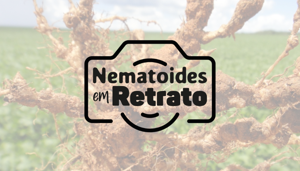 Participe do nosso concurso de fotos e seja premiado