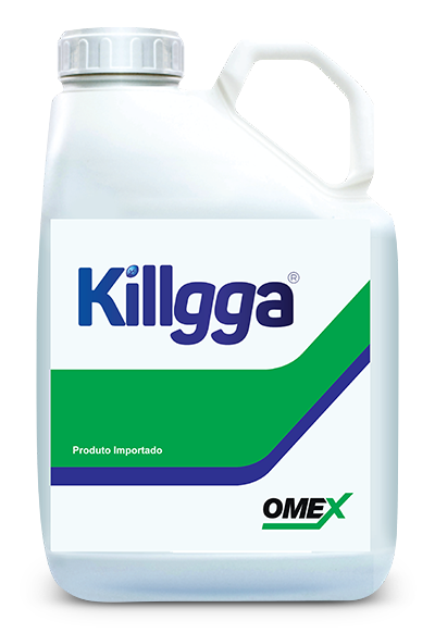 Killga