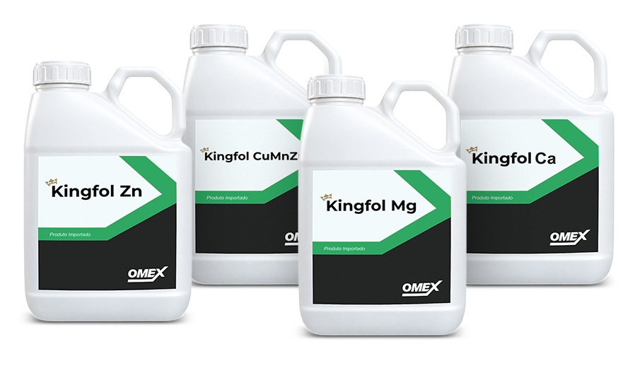 Pack kingfol omex